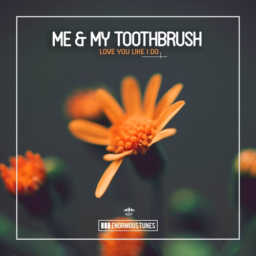 Me & My Toothbrush - Love You Like I Do [ETR717BP]
